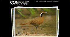 Desktop Screenshot of confoley.com