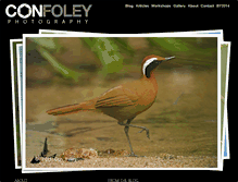 Tablet Screenshot of confoley.com